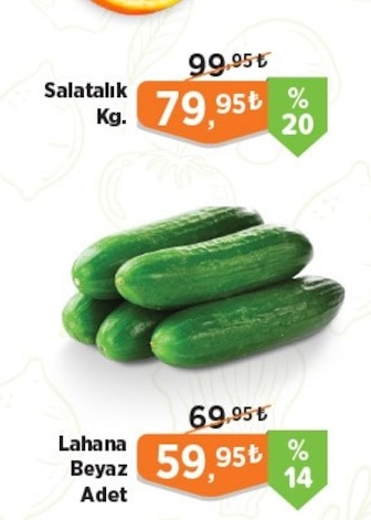 Salatalık Kg.