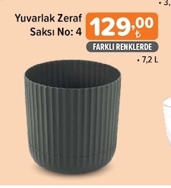 Yuvarlak Zeraf Saksı No: 4