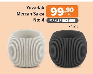 Yuvarlak Mercan Saksı No: 4