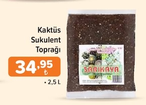 Kaktüs Sukulent Toprağı