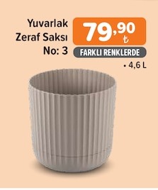 Yuvarlak Zeraf Saksı No: 3