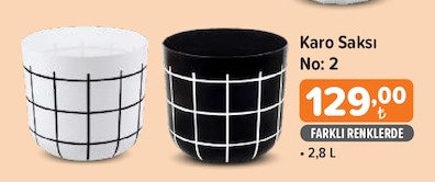 Karo Saksı No: 2