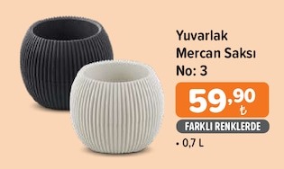 Yuvarlak Mercan Saksı No: 3