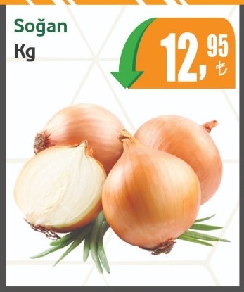 Soğan Kg