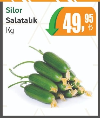 Silor Salatalık Kg