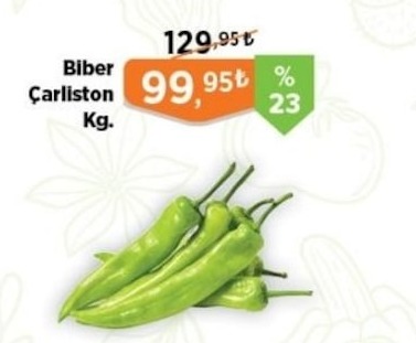 Biber Çarliston Kg.