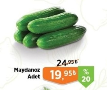 Maydanoz Adet