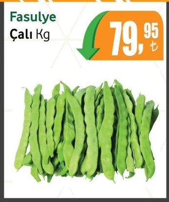 Fasulye Çalı Kg