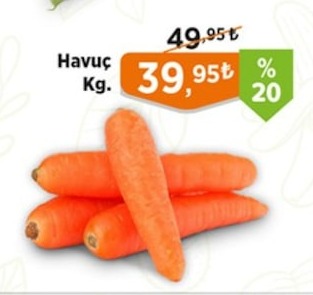 Havuç Kg.