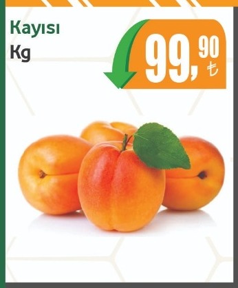 Kayısı Kg