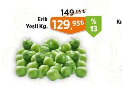 Erik Yeşil Kg.