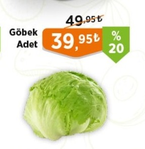 Göbek Marul Adet
