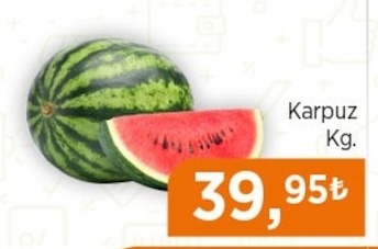 Karpuz Kg.