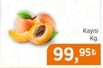Kayisi Kg.