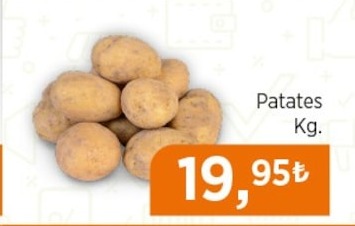 Patates Kg.
