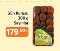 Gün Kurusu 300 G Sayınlar