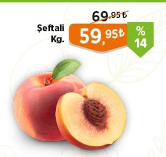 Şeftali Kg.