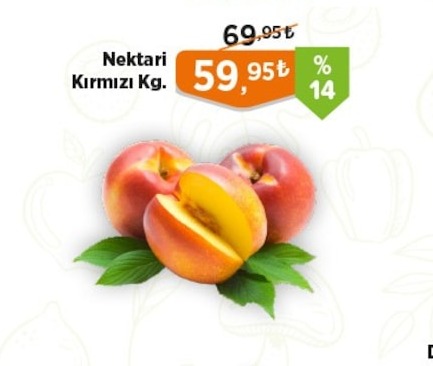 Nektari Kirmizi Kg.