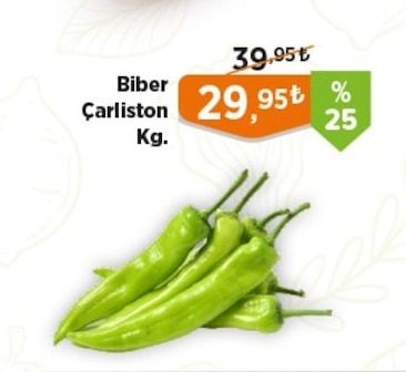 Biber Çarlston Kg.