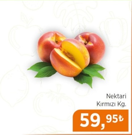 Nektari Kırmızı Kg.