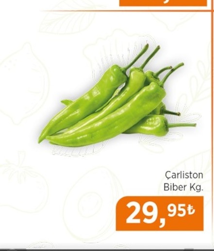 Çarlston Biber Kg.
