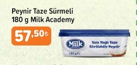 Peynir Taze Sürmeli 180 G Milk Academy