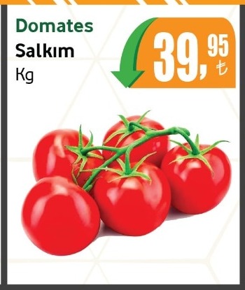 Domates Salkım Kg