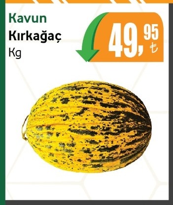 Kavun Kırkağaç Kg