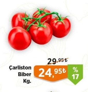 Charlston Biber Kg