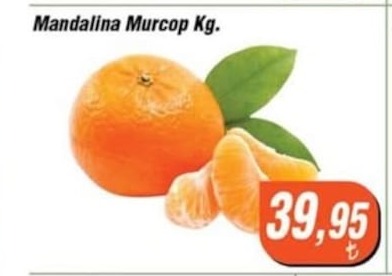 Mandalina Murcop Kg