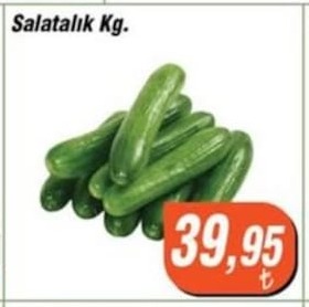 Salatalık Kg