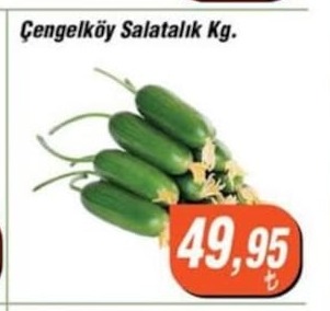 Çengelköy Salatalık Kg.