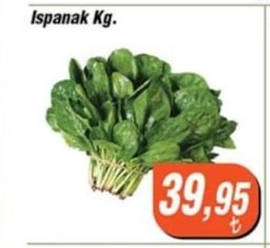 Ispanak Kg.