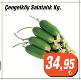 Çengelköy Salatalık Kg.