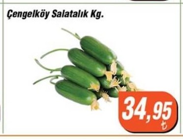 Çengelköy Salatalık Kg.