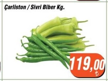 Çarlston / Sivri Biber Kg.