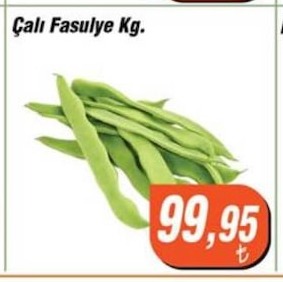 Çalı Fasulye Kg.