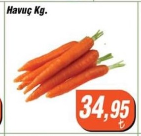 Havuç Kg.