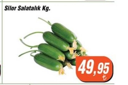 Silor Salatalik Kg.