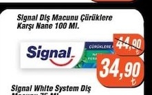 Signal Diş Macunu Çürüklere Karşı Nane 100 Ml.