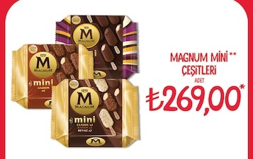 Magnum Mini Çeşitleri