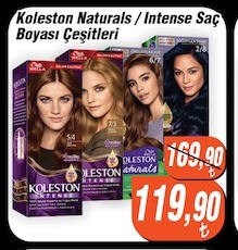 Koleston Naturals / Intense Saç Boyası Çeşitleri