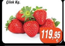 Çilek Kg.
