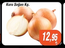 Kuru Soğan Kg.