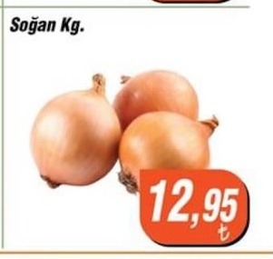 Soğan Kg.