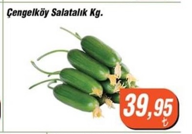 Çengelköy Salatalık Kg.