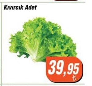 Kıvırcık Adet