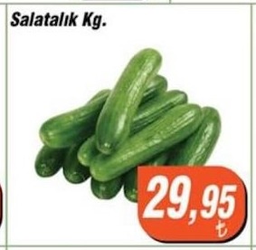 Salatalık Kg.