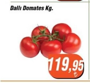 Dalil Domates Kg.