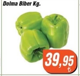 Dolma Biber Kg.